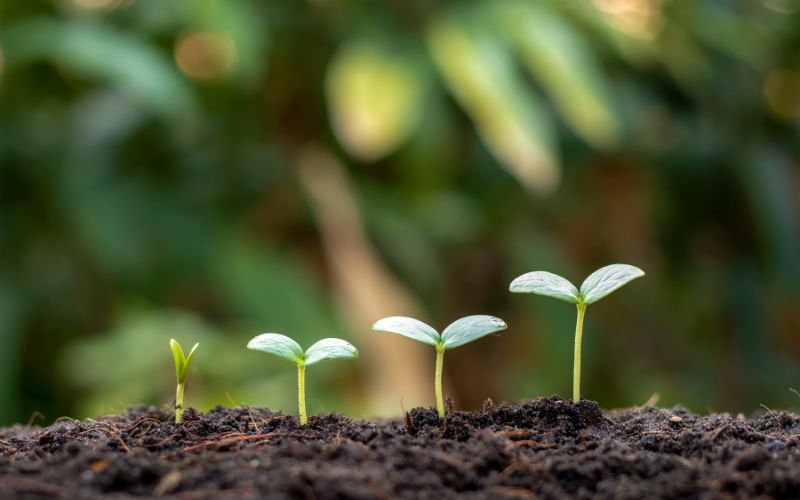 Confide B2B Sales Agency mission and values